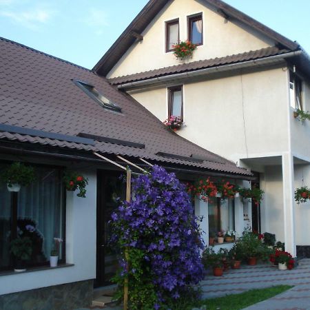 Hotel Casa Elena Moieciu de Jos Esterno foto