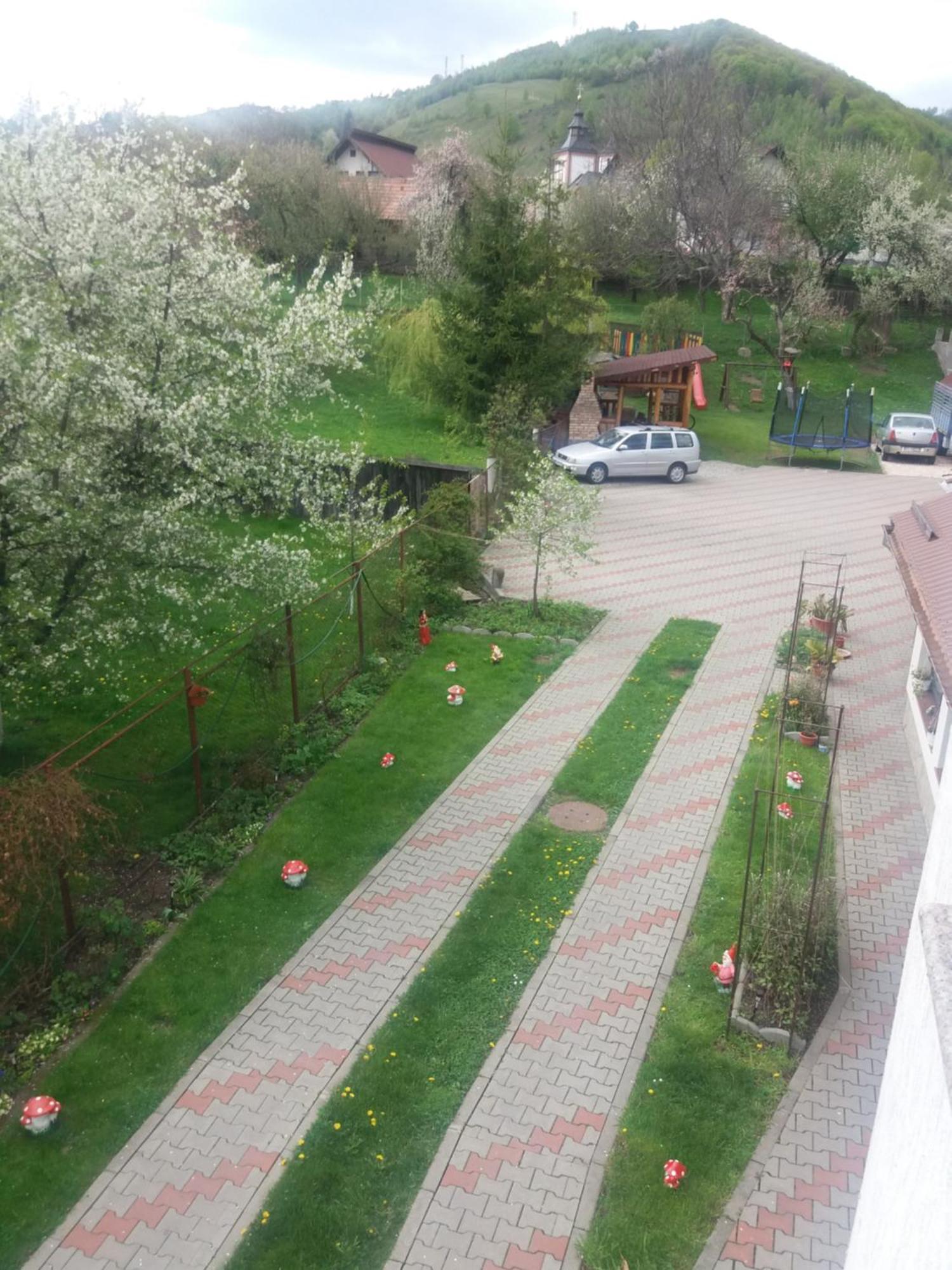 Hotel Casa Elena Moieciu de Jos Esterno foto